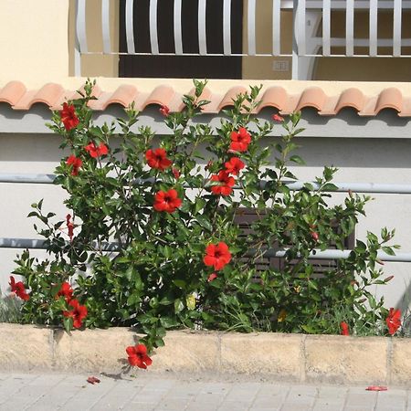 الشقق الفندقية Villaggio Le Rocelleفي  Baia Dei Canonici المظهر الخارجي الصورة