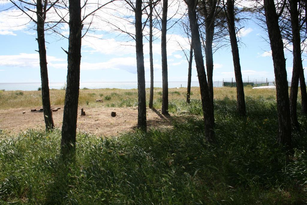 الشقق الفندقية Villaggio Le Rocelleفي  Baia Dei Canonici المظهر الخارجي الصورة