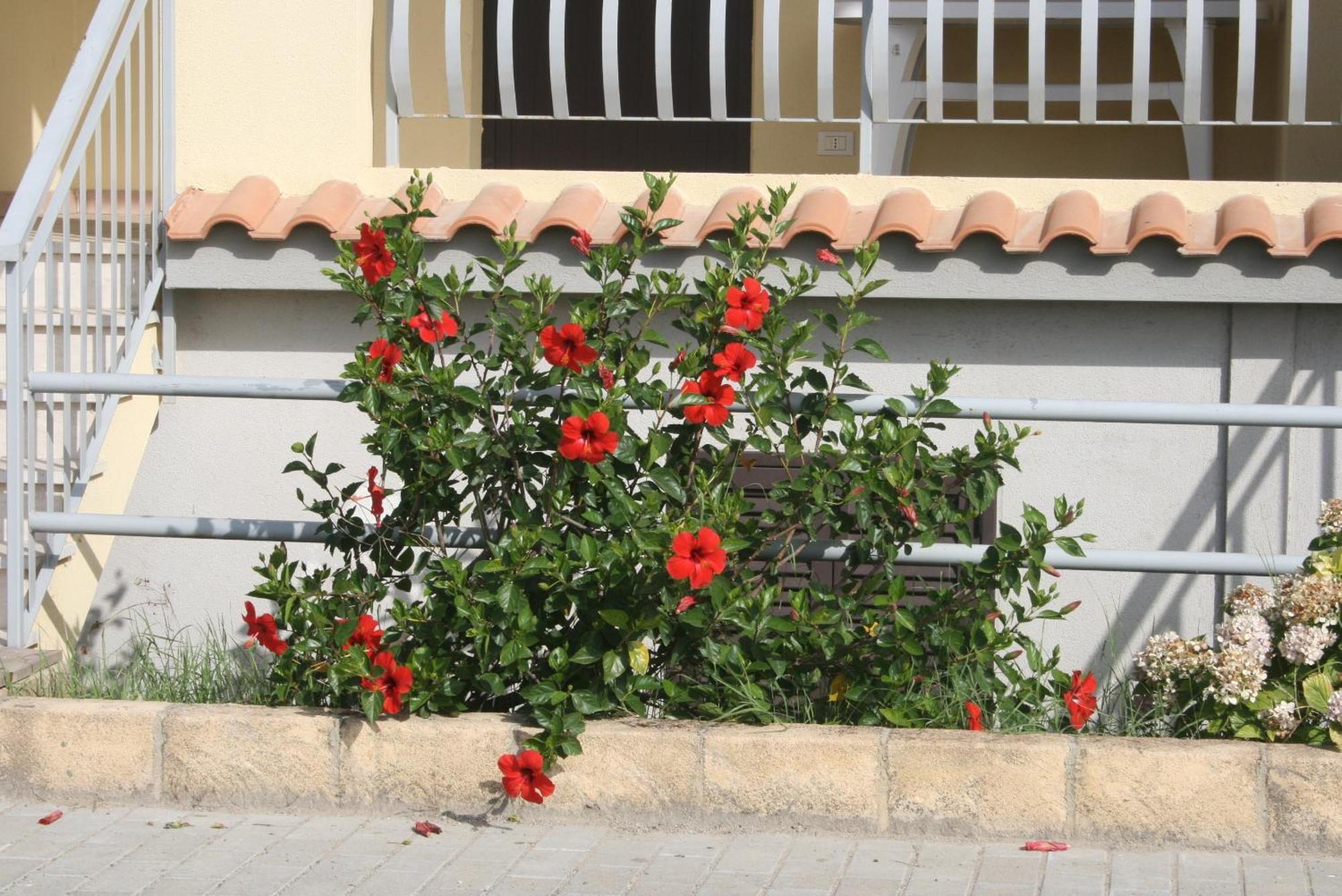 الشقق الفندقية Villaggio Le Rocelleفي  Baia Dei Canonici المظهر الخارجي الصورة