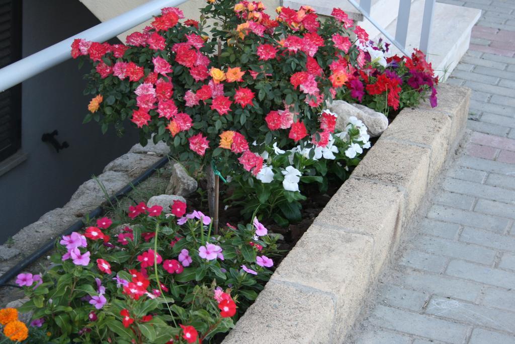 الشقق الفندقية Villaggio Le Rocelleفي  Baia Dei Canonici المظهر الخارجي الصورة